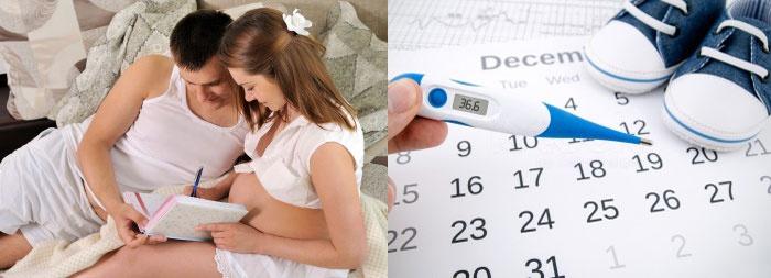 Как рассчитать срок беременности по базальной температуре (БТ)?