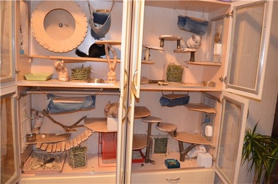 Условия содержания