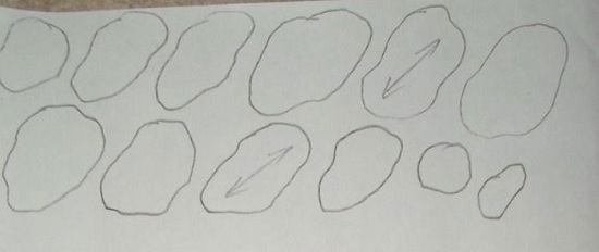 Вы можете нарисовать лепестки различной формы