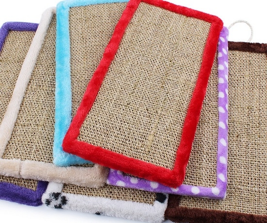 Важные уроки: как приучить кота к когтеточке?