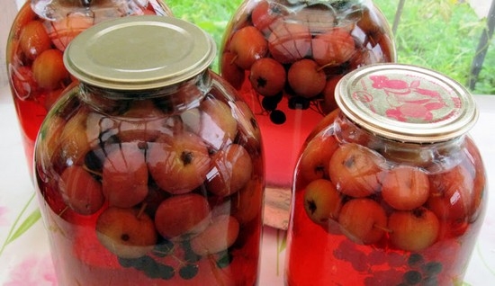 Компота из ранеток и черноплодки