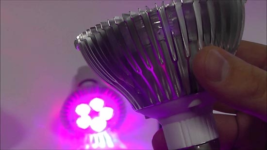 Когда растению не хватает солнце, оно перестает расти и начинает увядать