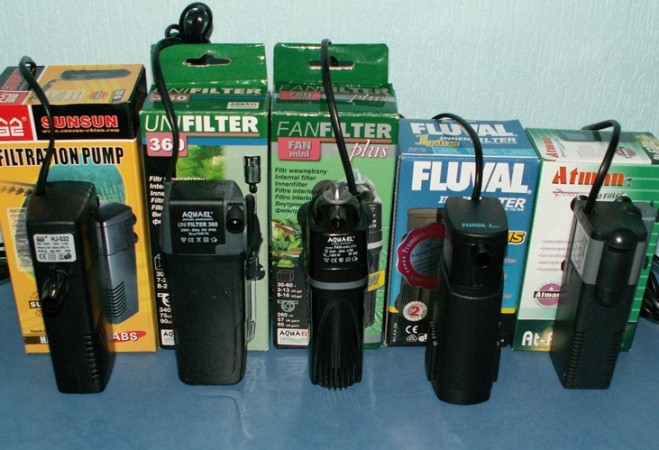 Что нужно для домашнего аквариума?