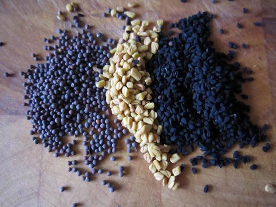 Из чего лучше сажать лук на головку – из семян или севка?