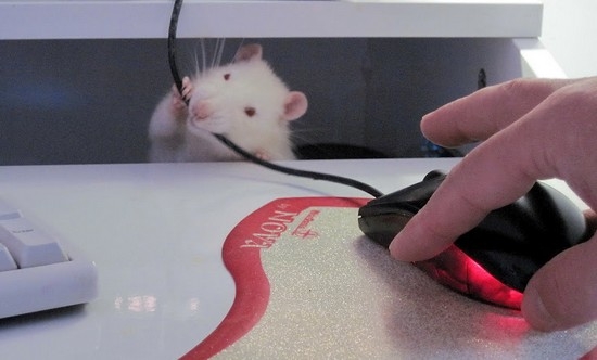 Остерегайтесь опасностей