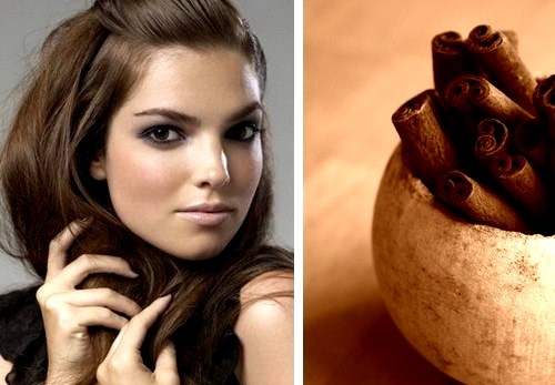 Корица для волос. Маски для волос с корицей