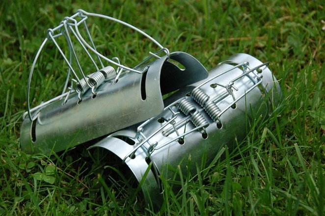 Борьба с кротами на огороде