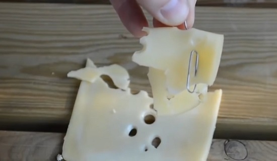 краю скрепки прикрепляем любую приманку